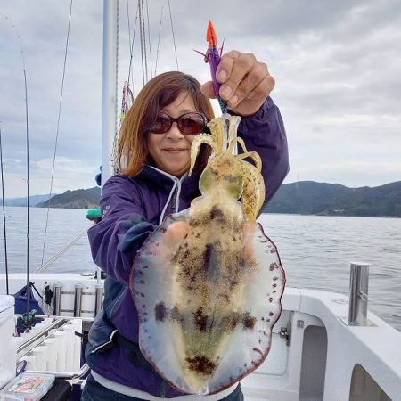 フィッシングボートACE(エース) 釣果