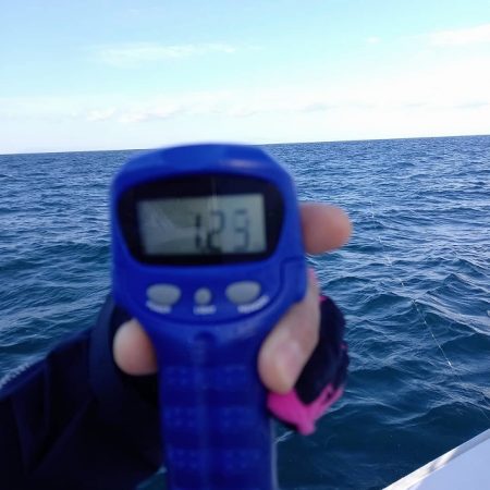 フィッシングボートACE(エース) 釣果