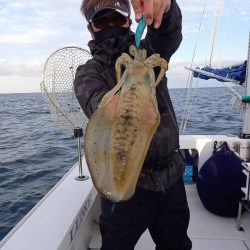 フィッシングボートACE(エース) 釣果