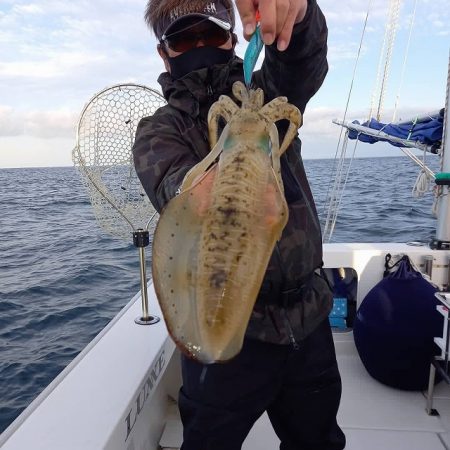 フィッシングボートACE(エース) 釣果