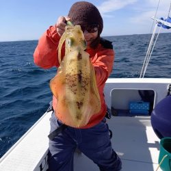 フィッシングボートACE(エース) 釣果