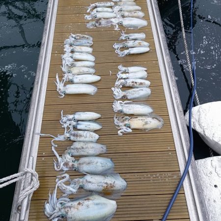 フィッシングボートACE(エース) 釣果