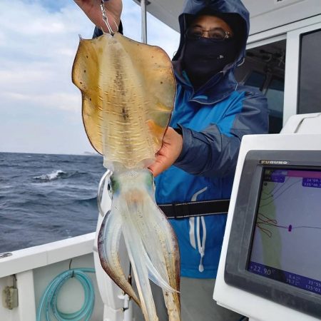 フィッシングボートACE(エース) 釣果