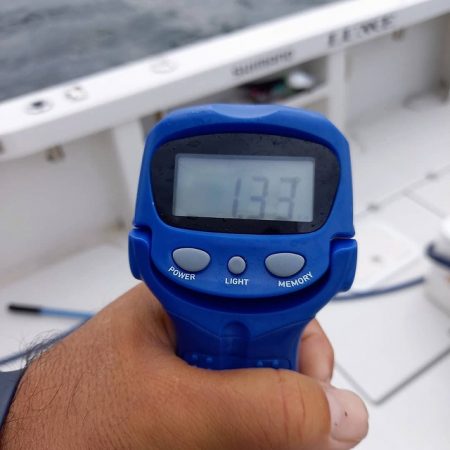 フィッシングボートACE(エース) 釣果