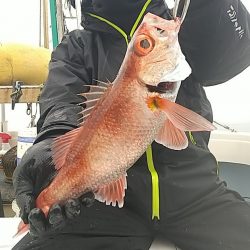 金剛丸 釣果