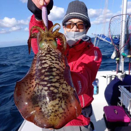 フィッシングボートACE(エース) 釣果