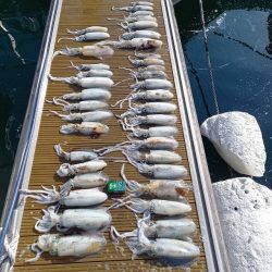 フィッシングボートACE(エース) 釣果