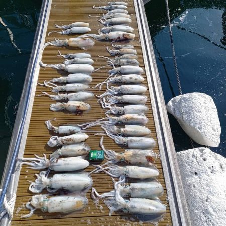 フィッシングボートACE(エース) 釣果