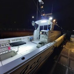 フィッシングボートACE（エース） 釣果