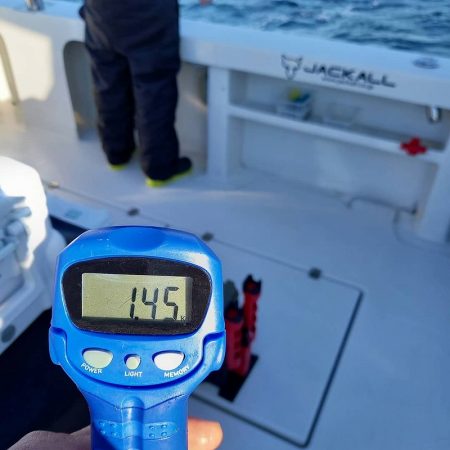 フィッシングボートACE(エース) 釣果