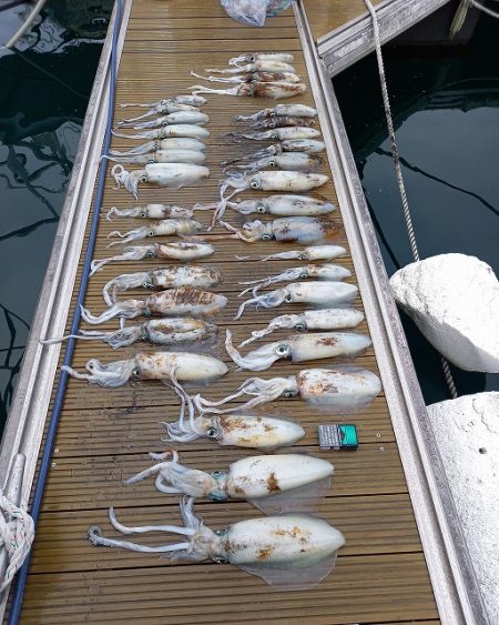 フィッシングボートACE（エース） 釣果