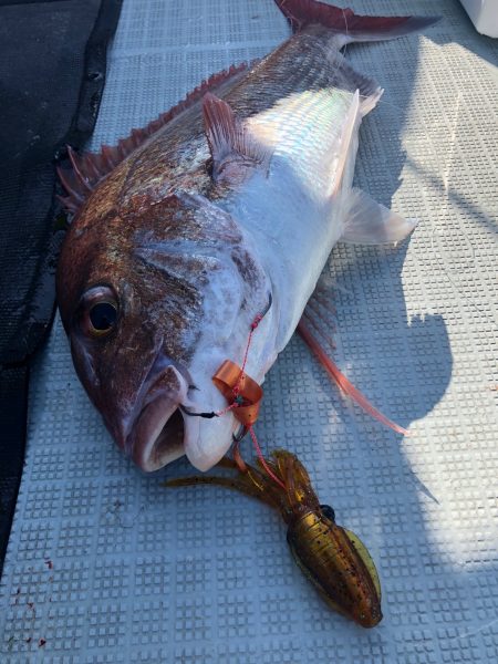 星隆丸 釣果