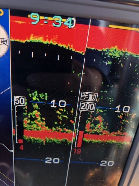 深川 吉野屋 釣果