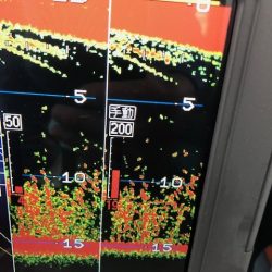 深川 吉野屋 釣果