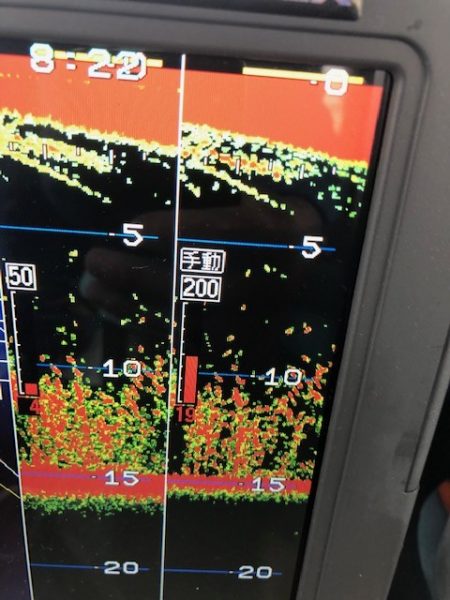 深川 吉野屋 釣果