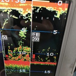 深川 吉野屋 釣果