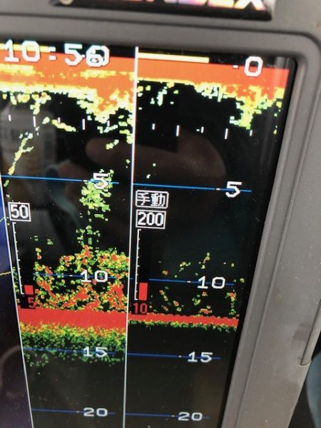 深川 吉野屋 釣果