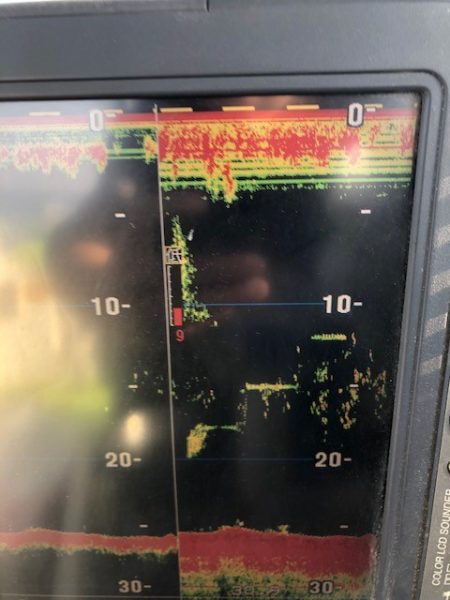 深川 吉野屋 釣果