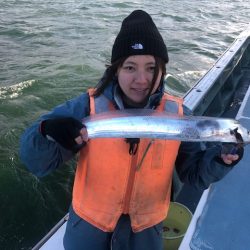 深川 吉野屋 釣果