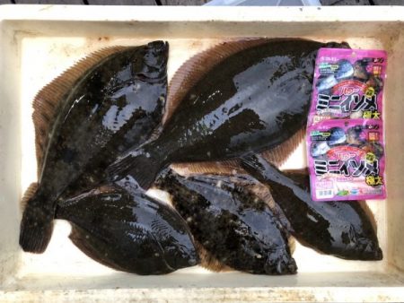 荒川屋 釣果
