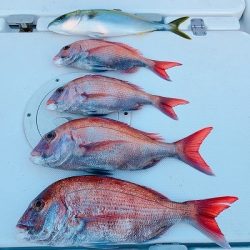 フィシングボートAir(エアー) 釣果