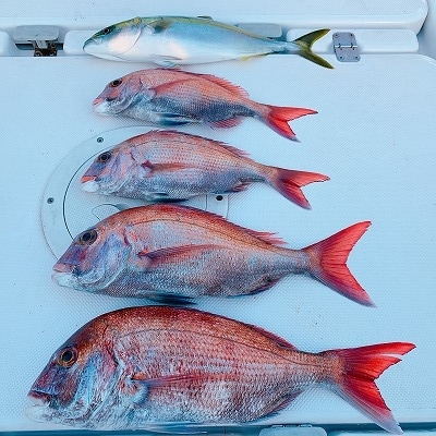 フィシングボートAir(エアー) 釣果