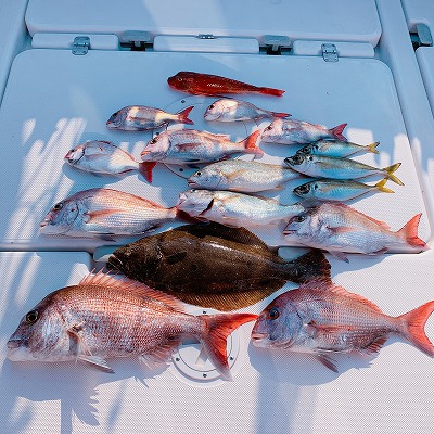 フィシングボートAir(エアー) 釣果