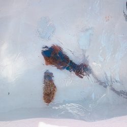 フィシングボートAir(エアー) 釣果