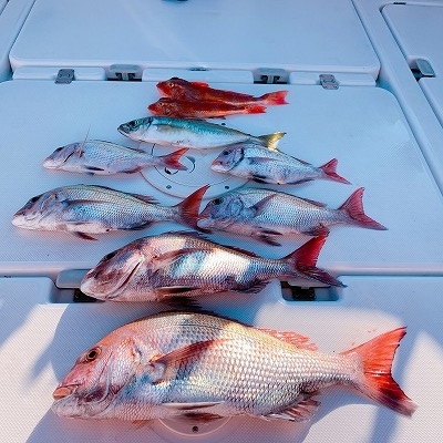 フィシングボートAir(エアー) 釣果