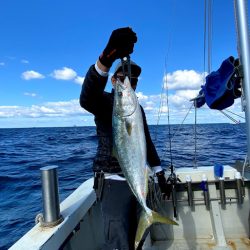 オーシャンズ　京都 釣果
