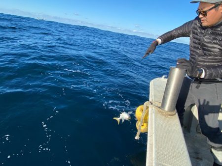 オーシャンズ　京都 釣果
