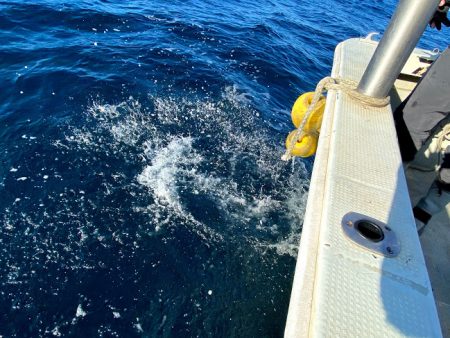 オーシャンズ　京都 釣果