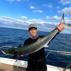 オーシャンズ 京都 釣果