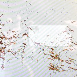 オーシャンズ 京都 釣果