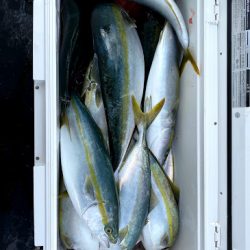 オーシャンズ 京都 釣果