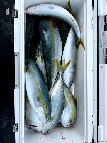 オーシャンズ 京都 釣果