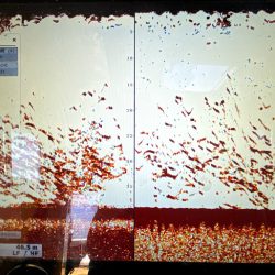 オーシャンズ 京都 釣果