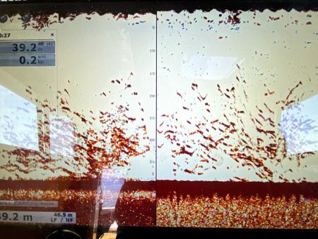 オーシャンズ 京都 釣果