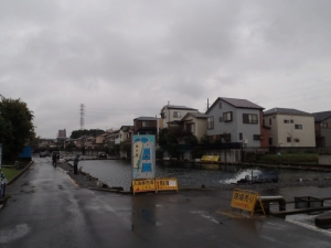 朝霞ガーデン 釣果