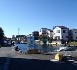 朝霞ガーデン 釣果