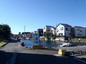 朝霞ガーデン 釣果