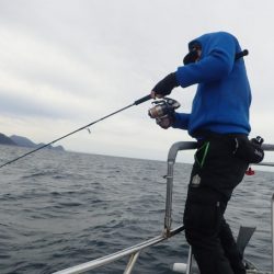 Aquanaut(アクアノート) 釣果