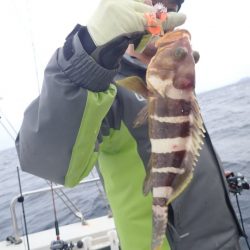 Aquanaut(アクアノート) 釣果