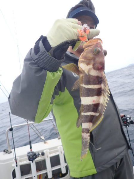 Aquanaut(アクアノート) 釣果