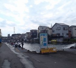 朝霞ガーデン 釣果