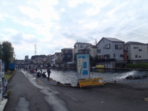 朝霞ガーデン 釣果