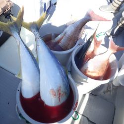 Aquanaut（アクアノート） 釣果