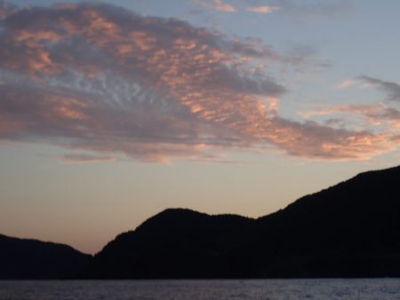 Aquanaut（アクアノート） 釣果