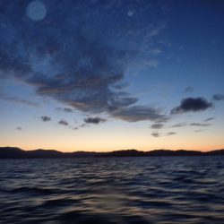 Aquanaut（アクアノート） 釣果