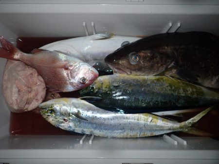 Aquanaut（アクアノート） 釣果